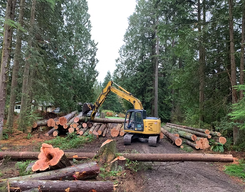 Land clearing image